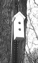 Simple Birdhouse